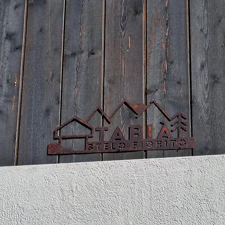 Chalet Tabia' Stelo Fiorito Santo Stefano Di Cadore